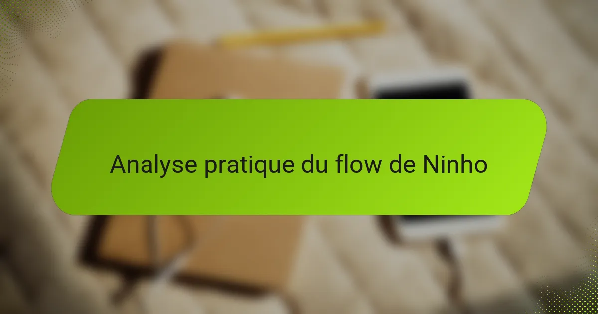 Analyse pratique du flow de Ninho