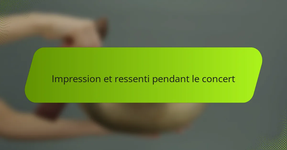 Impression et ressenti pendant le concert