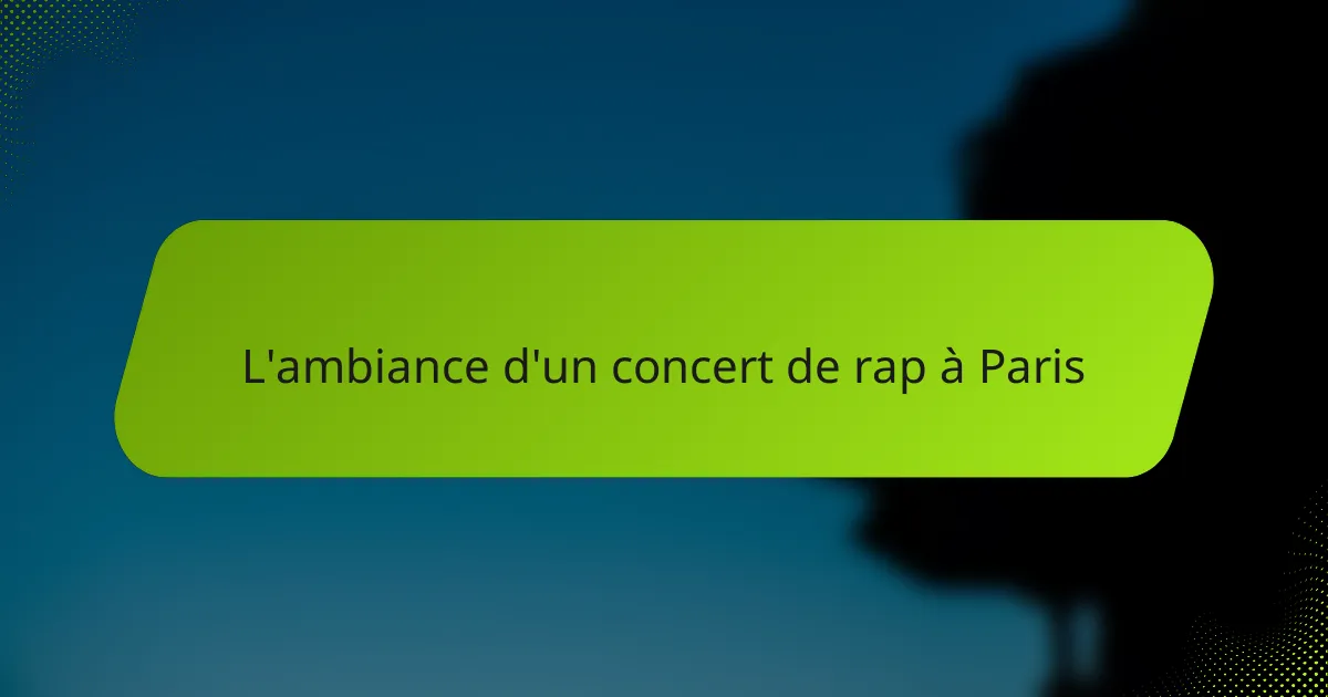 L'ambiance d'un concert de rap à Paris