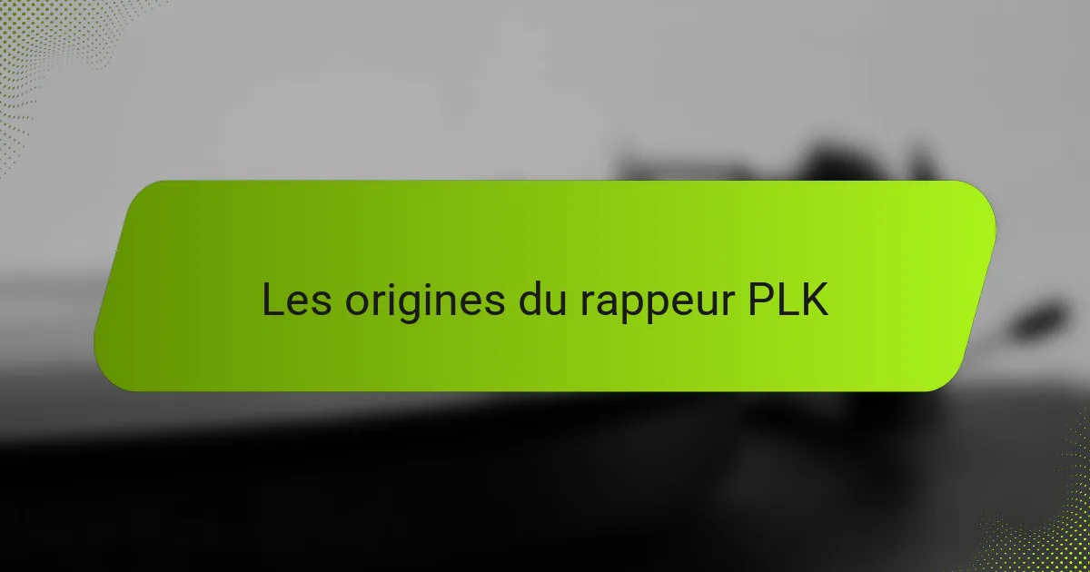 Les origines du rappeur PLK
