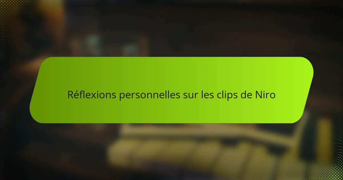 Réflexions personnelles sur les clips de Niro
